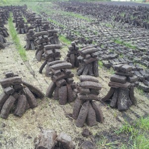 'Footed' turf and Turf ready to foot at Einagh-small