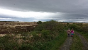 Tullaher Bog and Two Small Girls-small