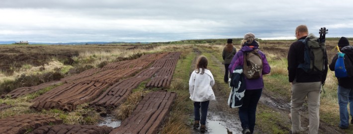 Tullaher bog walk
