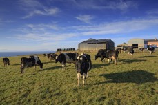 Farm, Loop Head, County Clare, Ireland