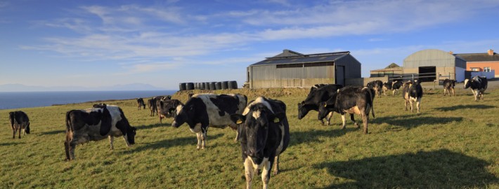 Farm, Loop Head, County Clare, Ireland