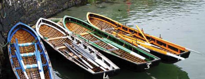 Irish Attractions carriages