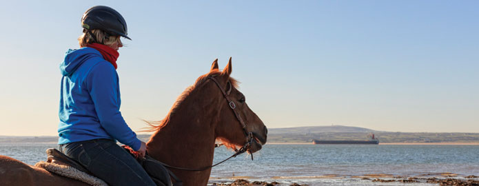 HorseRiding at Loophead