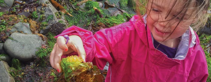 Travel in west clare and have fun