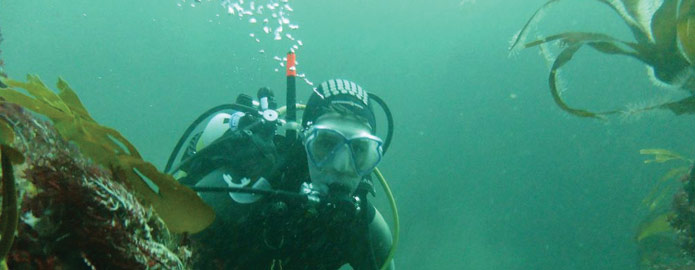 Scuba on the coast of Ireland